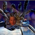kocisspider